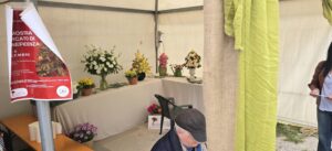 Interno di un gazebo bianco a noleggio allestito con composizioni floreali e piante per una mostra mercato.